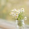 五一小长假